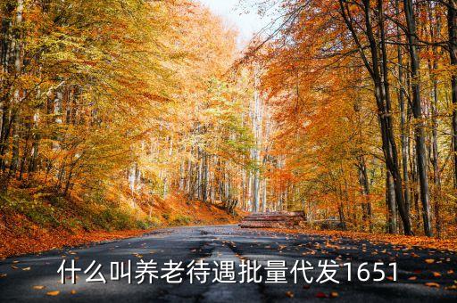 什么叫代發(fā)養(yǎng)老金，養(yǎng)老金代發(fā)機(jī)構(gòu)是指什么