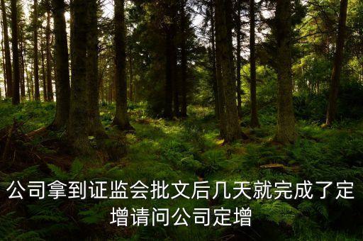 002194定向增發(fā)股票什么時(shí)候?qū)嵤?，股票定向增發(fā)預(yù)案到實(shí)施一般需要多少天