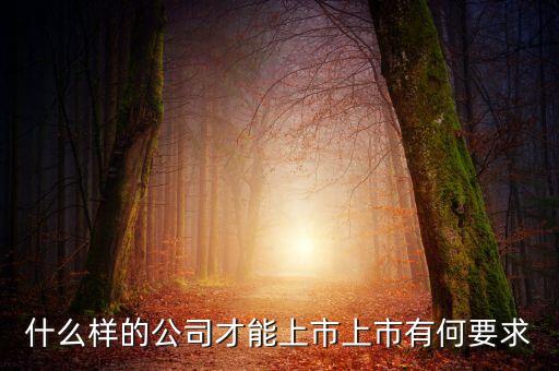 什么樣的公司可以上市，什么樣的公司才能上市上市有何要求