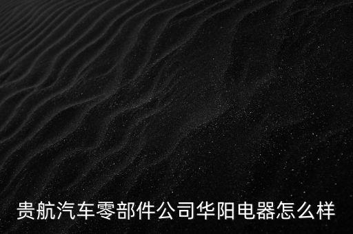 貴航集團(tuán)華陽(yáng)電工廠是什么企業(yè)，貴航汽車零部件公司華陽(yáng)電器怎么樣