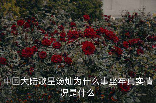 湯燦為什么要當情婦，誰知道湯燦怎么了