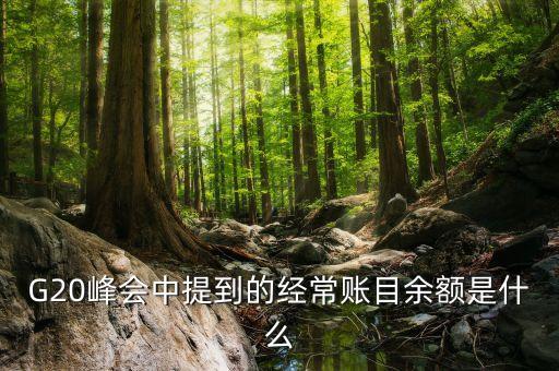 什么是經(jīng)常項(xiàng)目余額，經(jīng)常項(xiàng)目差額的什么是經(jīng)常項(xiàng)目差額