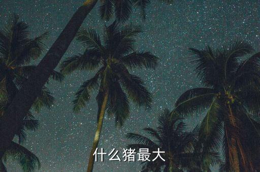 什么豬最大能長40金，什么豬最大