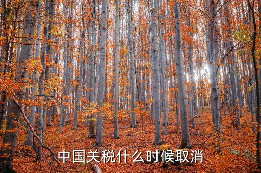 中國(guó)什么時(shí)候取消關(guān)稅，中國(guó)應(yīng)該在哪年取消關(guān)稅
