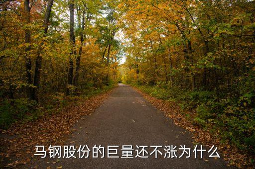 馬鋼集團(tuán)為什么還不倒，馬鋼集團(tuán)為什么沒(méi)排在世界500強(qiáng)中