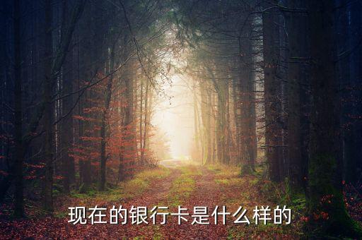 首都銀行卡長什么樣，銀行卡賬號長什么樣