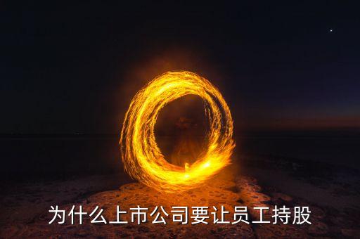 公司強(qiáng)迫員工入股的動(dòng)機(jī)是什么，4個(gè)人的公司要求員工入股是什么目的