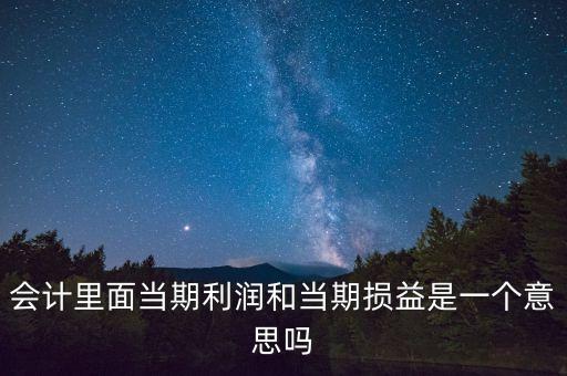 當期利潤是指什么意思，當期利潤當期應(yīng)付利息等等中的當期是什么含義