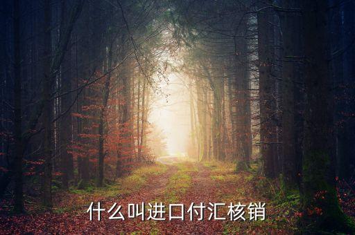 什么叫進(jìn)口付匯核銷(xiāo)