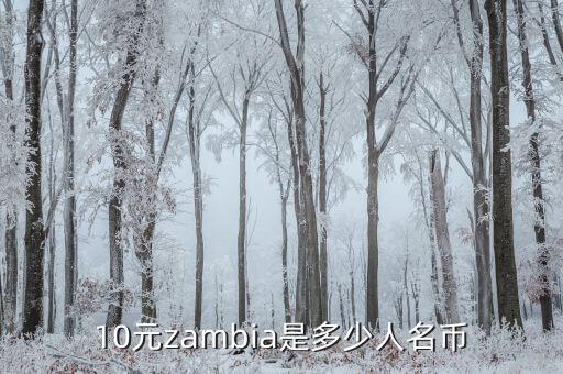 zambia硬幣2克瓦查什么樣，ZAMBIA是什么幣