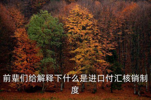 前輩們給解釋下什么是進(jìn)口付匯核銷(xiāo)制度