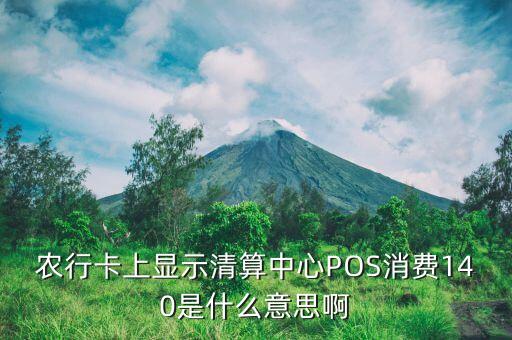 農行卡上顯示清算中心POS消費140是什么意思啊