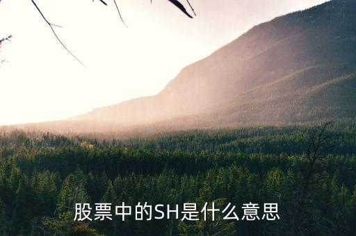 股票中SH6代表什么，股票里的這些都代表什么意思AH NH CDP NL AL