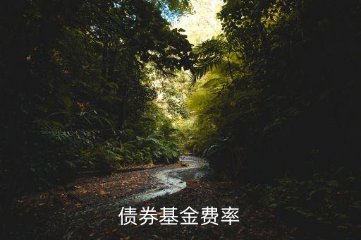 債券基金費(fèi)率什么意思，債券基金費(fèi)率