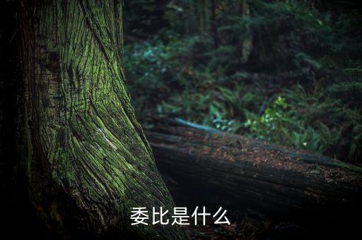 什么是委比指標，股票里面的委比是什么意思