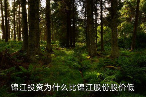 錦江投資和錦江股份什么關(guān)系，錦江投資為什么比錦江股份股價(jià)低