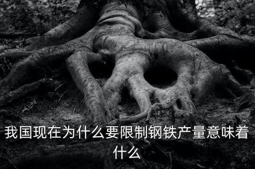 我國(guó)現(xiàn)在為什么要限制鋼鐵產(chǎn)量意味著什么