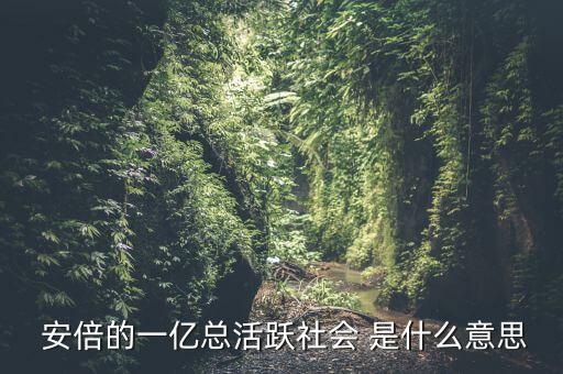 一億總活躍社會(huì)是什么， 安倍的一億總活躍社會(huì) 是什么意思
