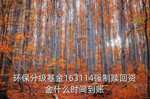 163114什么時候開盤，163114是個什么玩意啊賣也賣不出