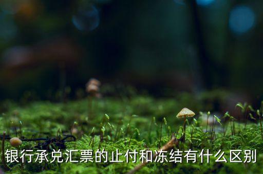 凍結(jié)止付什么意思，銀行承兌匯票的止付和凍結(jié)有什么區(qū)別