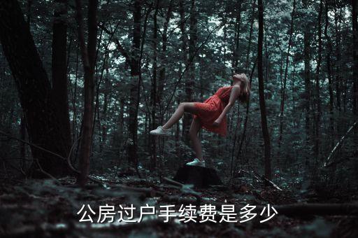 公房使用權(quán)轉(zhuǎn)讓需要交什么錢，公租房使用權(quán)交易如何收費