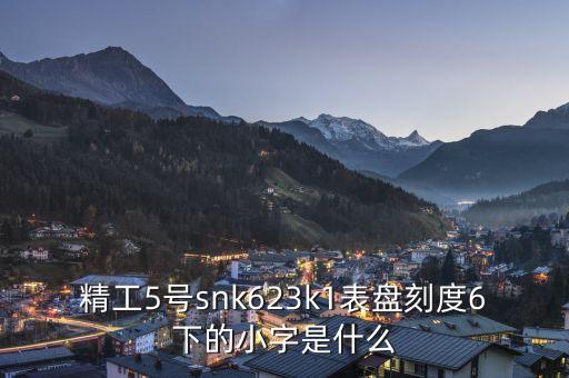 精工表中小表什么，精工手表4個小表盤是干甚么的