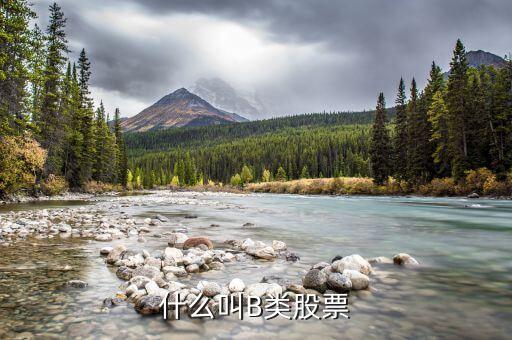 分級(jí)股b什么意思，分級(jí)基金b和b股一樣嗎