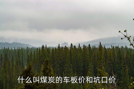 什么叫煤炭坑口價，煤炭坑口價格是什么意思呀有知道的好心人請給予答復