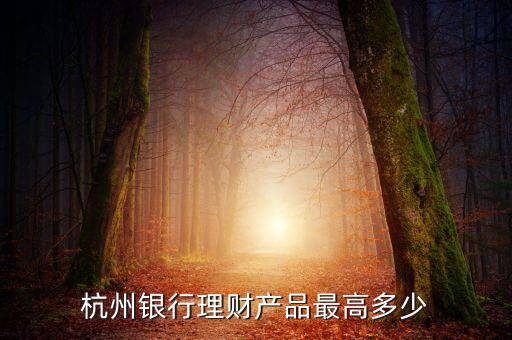 豐裕1號有什么風(fēng)險，杭州銀行理財產(chǎn)品豐裕一號風(fēng)險等級怎么