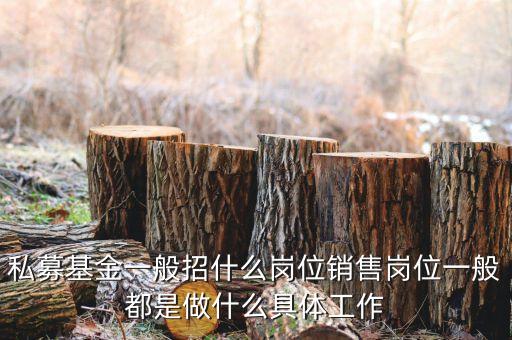 私募公司的市場部做什么，投資公司的市場部職員主要做什么