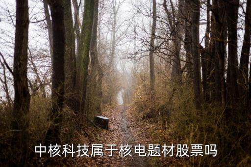 中核科技是什么板塊，中核科技屬于核電題材股票嗎