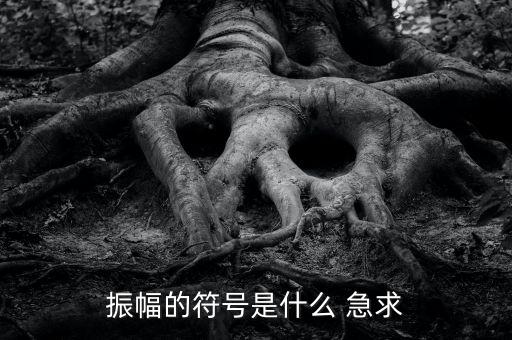 什么振幅，振幅的符號是什么 急求