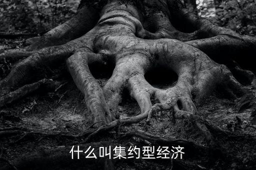 什么叫產(chǎn)融結(jié)合，什么叫集約型經(jīng)濟(jì)
