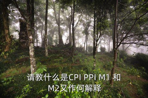 m2指數(shù)是什么，請(qǐng)教什么是CPI PPI M1 和 M2又作何解釋