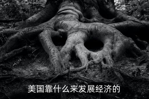 美國經(jīng)濟靠什么，美國靠什么來發(fā)展經(jīng)濟的