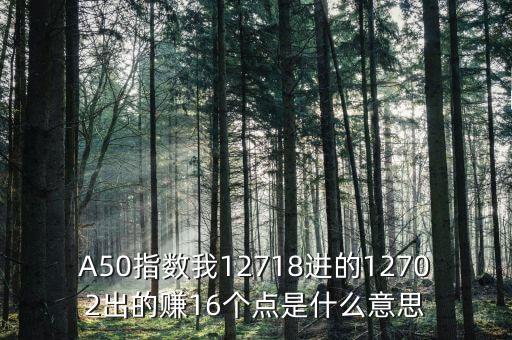 a50指數(shù)1510是什么，A50指數(shù)我12718進(jìn)的12702出的賺16個(gè)點(diǎn)是什么意思