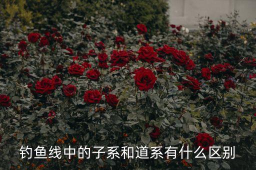大道子線是什么意思，大道趨勢(shì)理論子線是多少日均線