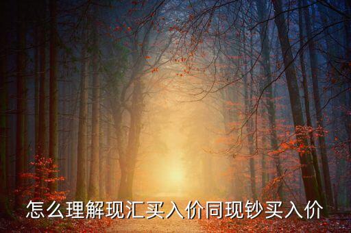 為什么現(xiàn)匯買入價比現(xiàn)鈔買入價高，為什么即期外匯牌價中現(xiàn)匯買入價和現(xiàn)鈔買入價不一樣為什么現(xiàn)匯