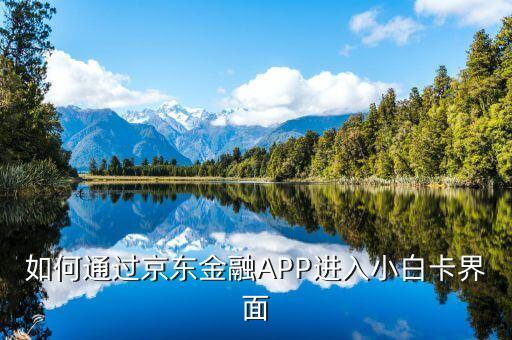 登陸京東金融后進(jìn)入什么頁面，京東金融app借錢界面在哪里啊