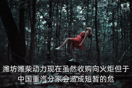 重汽為什么沒有濰柴了，中國重汽還有濰柴發(fā)動機(jī)嗎