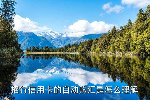自動(dòng)購(gòu)匯轉(zhuǎn)出什么意思，什么是中國(guó)銀行信用卡的外幣自動(dòng)購(gòu)匯