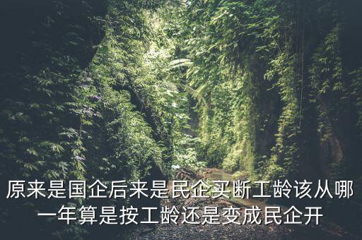 廣西貴糖什么時(shí)候變私企，廣西在什么時(shí)候開始變得落后起來的原因是