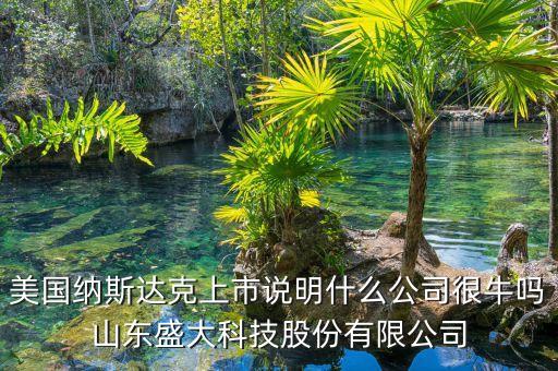美國(guó)納斯達(dá)克上市說明什么公司很牛嗎山東盛大科技股份有限公司