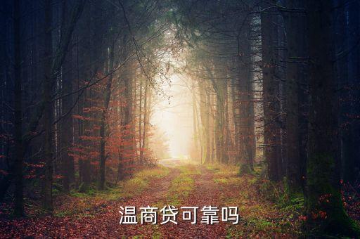 溫商貸是什么東西，溫商貸是真的嗎