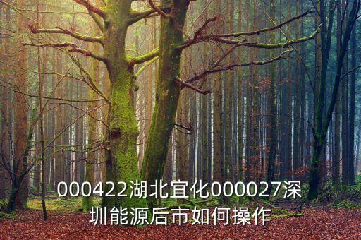 000027之前名什么，000422湖北宜化000027深圳能源后市如何操作