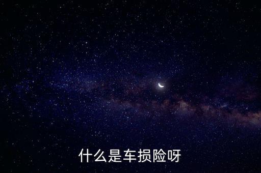 汽車(chē)車(chē)損險(xiǎn)是什么，汽車(chē)什么是車(chē)損險(xiǎn)定義