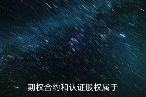 期權合約和認證股權屬于