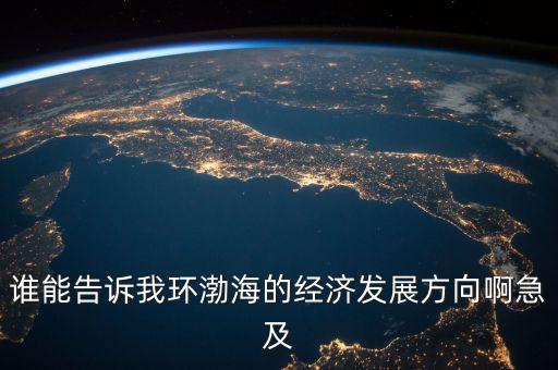 誰能告訴我環(huán)渤海的經濟發(fā)展方向啊急及