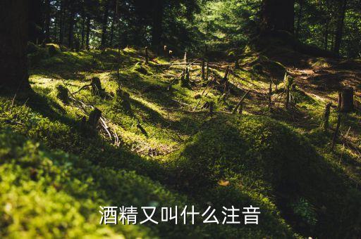 酒經(jīng)酒驚又名什么，酒精又叫什么注音