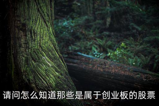 怎么知道創(chuàng)業(yè)板要出什么新股票，如何知道已經(jīng)開(kāi)通創(chuàng)業(yè)板股票